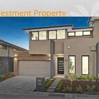 Портфолио Shasha Elvine